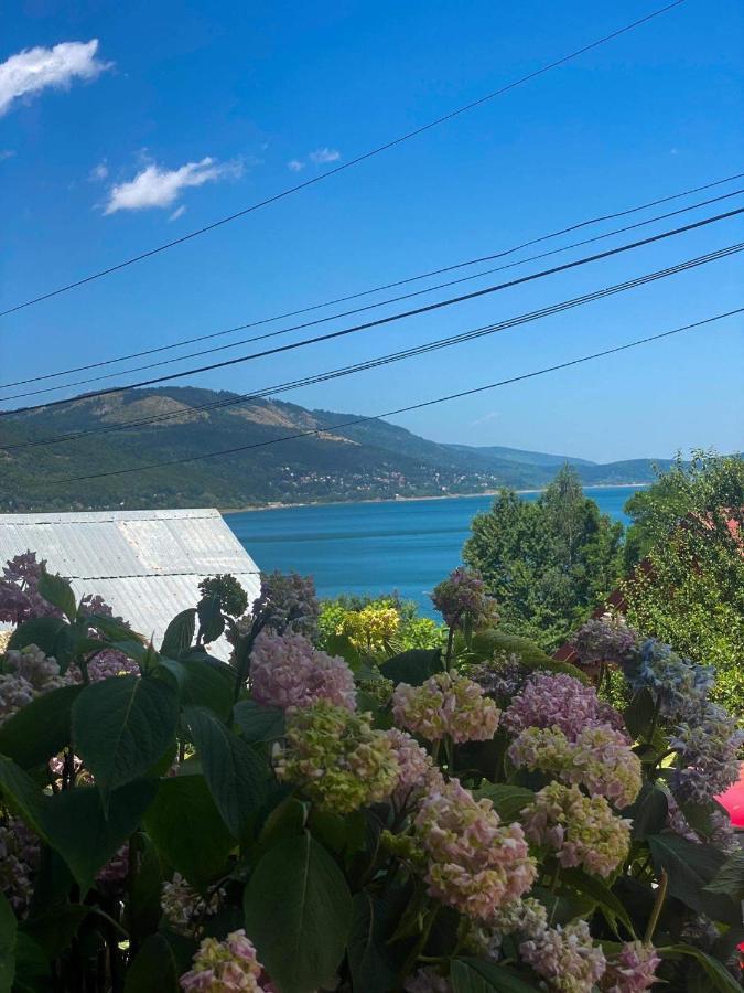 Petar Apartment Mavrovo Dış mekan fotoğraf