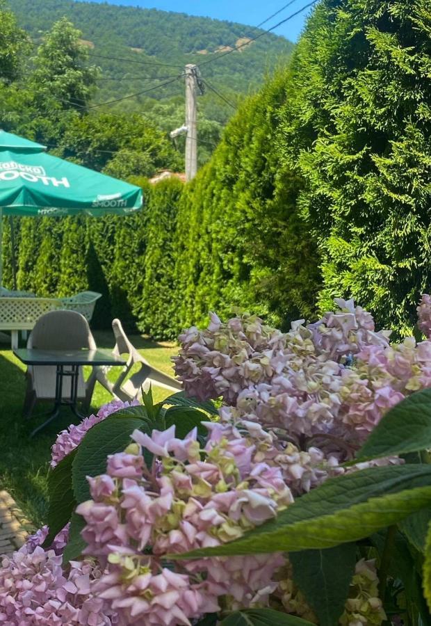 Petar Apartment Mavrovo Dış mekan fotoğraf